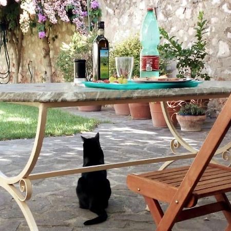 Home Garden Grosseto Exterior photo